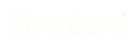 dinatura.com.mx